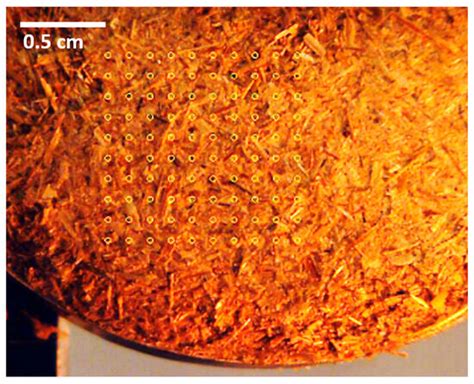 Rapid Spectroscopic Analysis for Food and Feed Quality Control ...