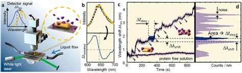 Single Nanoparticle Plasmonic Sensors