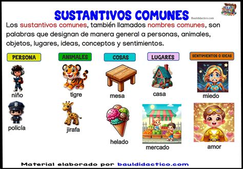 Sustantivo común - ESPAÑOL - Baúl Didáctico