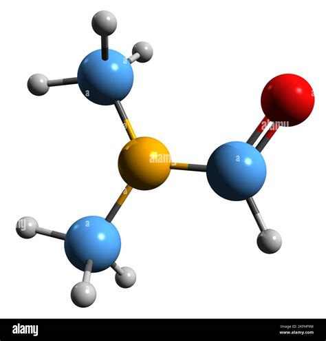 Image result for Java Lounge Cookies