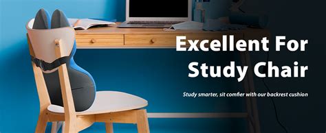 HealthSense Luxury Back Support for Chair, Car Seat Back Rest Support ...