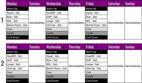 Image result for Basic Exercise Program