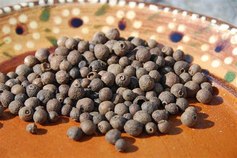 Pimienta gorda - Pati Jinich en Español