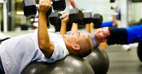 Image result for Exercise Program Examples