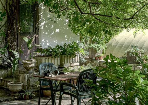 Five Factors to Consider When Choosing a Garden Site - Home Hyme