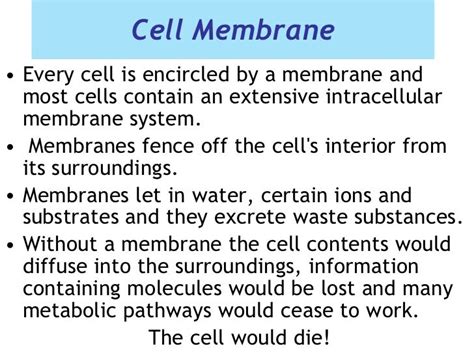Kuvatulokset haulle plasma membrane facts