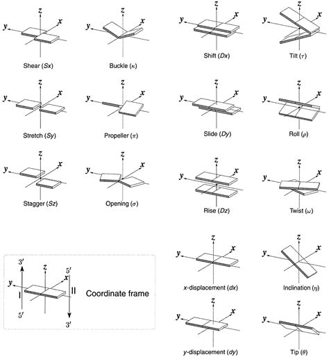 Image result for RNA Complementary Strand