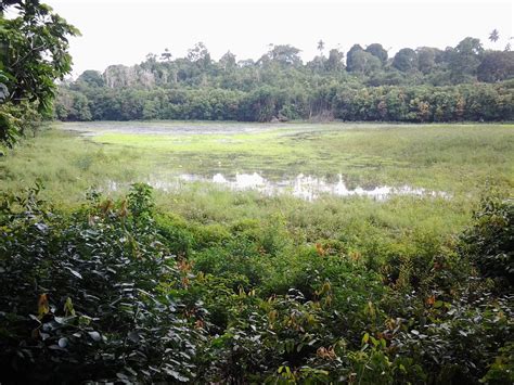 THE BEST Places to Visit in Tsingoni (2026) - Must-See Attractions