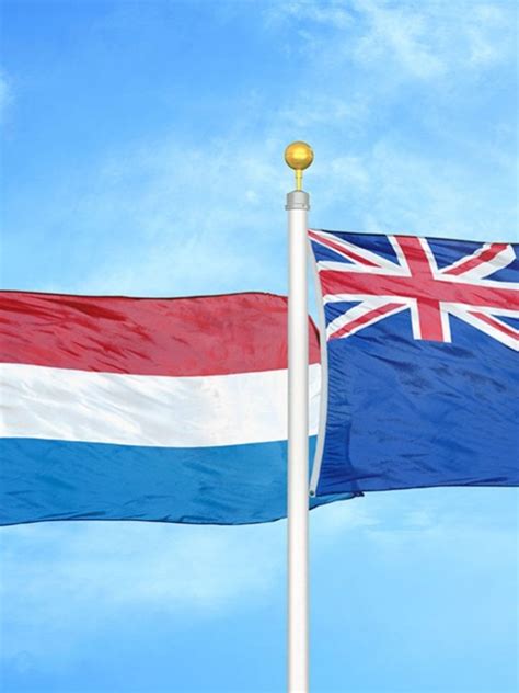 World Cup 2023 match today: Kane Williamson-led New Zealand vs Scott ...