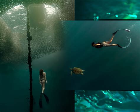 Dive Into Free Diving at Nicco's Place | Keeta