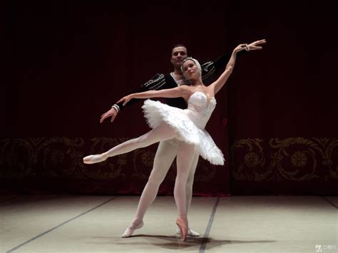 中央芭蕾舞团《天鹅湖》 订票|歌剧院 演出门票-舞蹈-国家大剧院