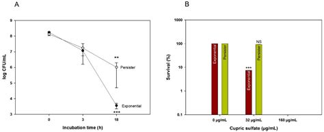 Copper Kills Escherichia coli Persister Cells