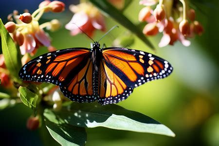 Image result for Using Open Ai API in Back End Development