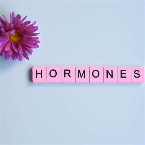 Fix Your Hormones With Right Food! — Sorich