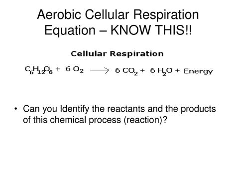 Cellular Respiration The Life Function of Cellular Respiration involves ...