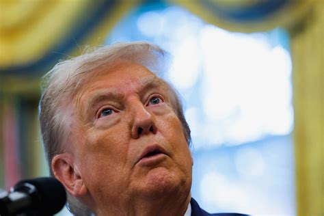 'Awkward': CNN reporter amused by 'confused' Trump's response on death ...