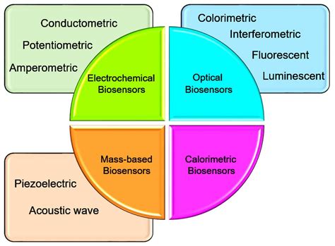 Electrochemical Biosensors: A Solution to Pollution Detection with ...