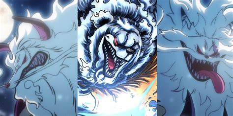 Chopper Is Mink at Stanley Blake blog