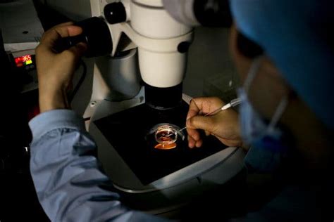 Image result for Fertility Test Collection