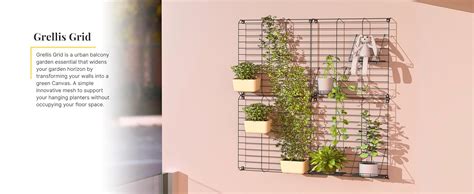 Meshable Grellis Grid Stylish Steel Wall Mounted Plant Stand Holder ...