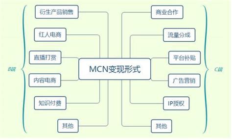MCN公司是什么意思，MCN公司上市公司有哪些__赢家财富网
