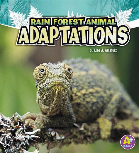 Rain Forest Animal Adaptations : Amstutz, Lisa J.: Amazon.in: Books