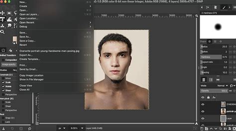 Face Swap Using GIMP 的图像结果