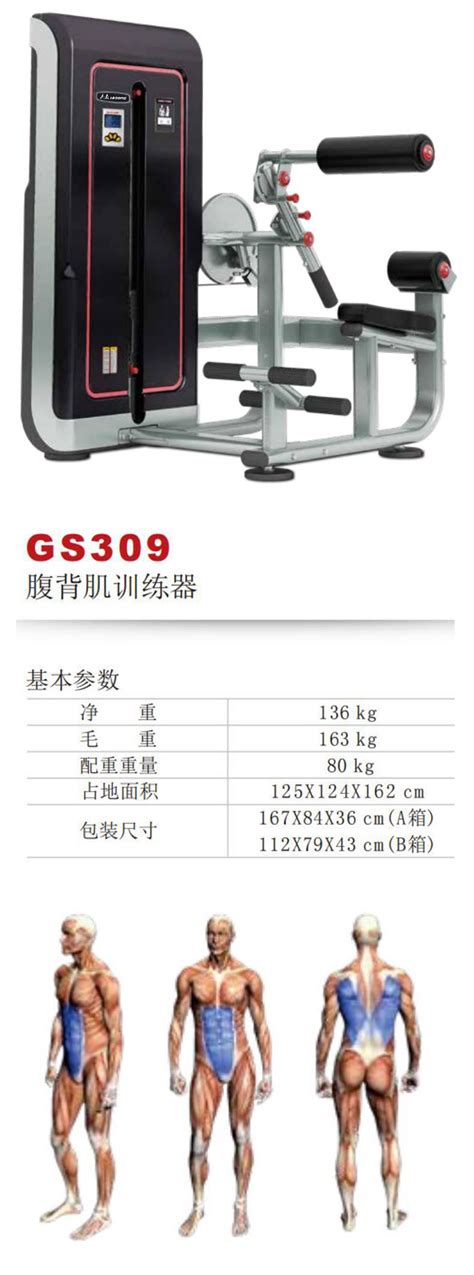 杰森腹背肌训练器GS309【价格 批发 公司】-广州市杰森健身器材有限公司