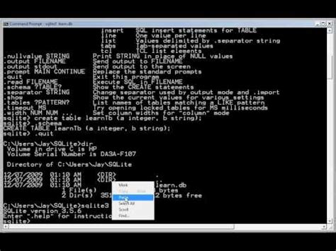 SQLite JDBC Tutorial 的图像结果