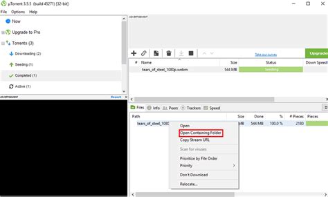 Image result for How to Download Using Torrent