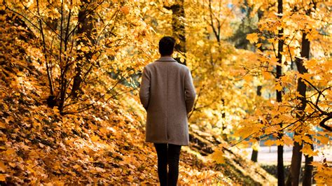 Download wallpaper 3840x2160 guy, coat, alone, park, trees, leaves ...