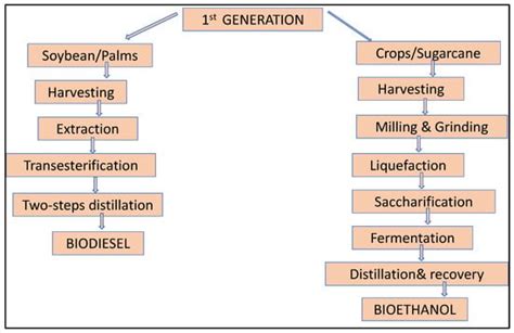 Biomass Resources and Biofuel Technologies: A Focus on Indian Development