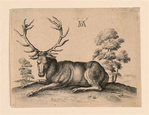 Image result for Durer Python