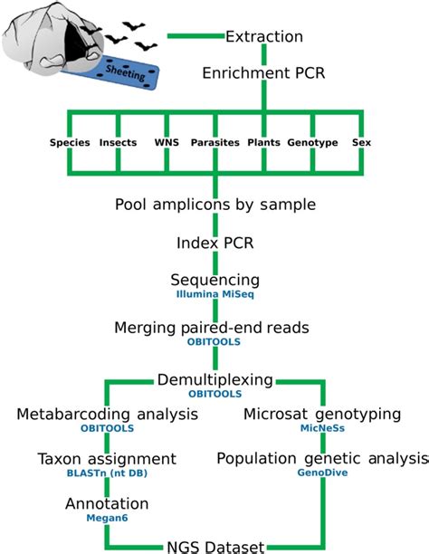 Image result for Microbial Barcoding