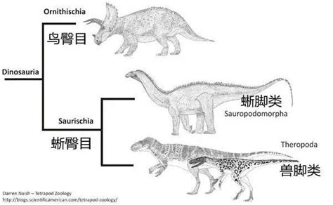 重庆发现新恐龙动物群，将填补恐龙时空分布空白_人民号