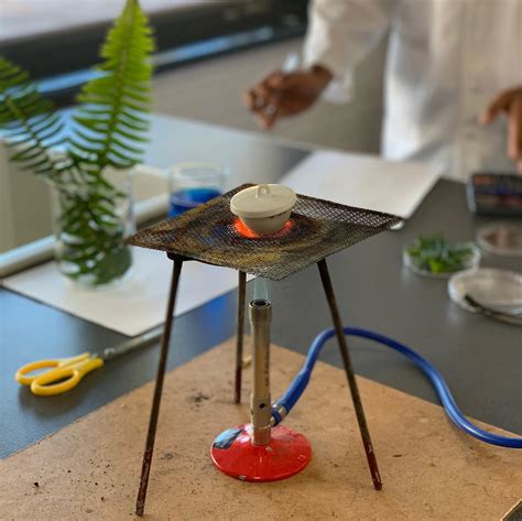 Biology Lab Experiments 的图像结果