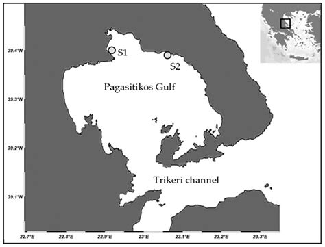 Reproductive Cycle of the Edible Sea Urchin Paracentrotus lividus ...