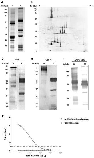 Enzymatic and Pro-Inflammatory Activities of Bothrops lanceolatus Venom ...