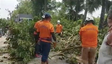 Cyclone Amphan: Power restoration work in full swing in Odisha's Bhadrak