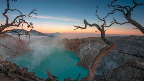 wisata banyuwangi alas purwo