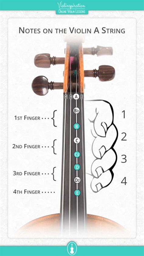 Image result for Violin Notes with Strings