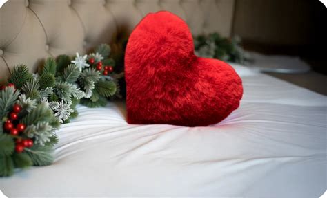 Buy Microfiber Pillows and Body Pillows online – Sleepsia India Pvt Ltd