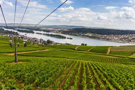 Rhine River Adventure: Day Trip from Frankfurt to Wiesbaden, Mainz ...