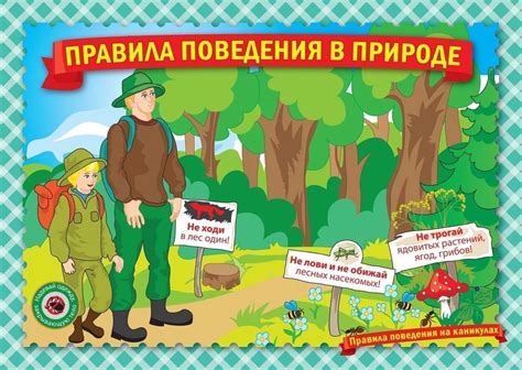 Картинки безопасность в лесу - 60+