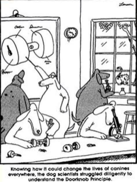 Far Side Cartoon Dog Tutored at Ty Pace blog