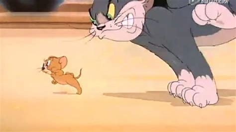 猫和老鼠：搞笑片段大盘点，重磅来袭，你还在等什么_片段_重磅_来袭