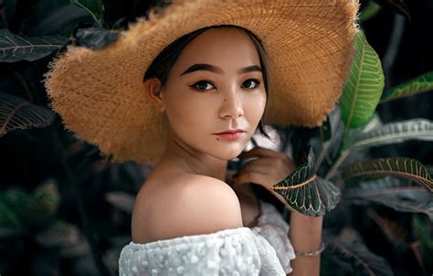 Wallpaper look, leaves, nature, model, portrait, hat, makeup, brunette ...