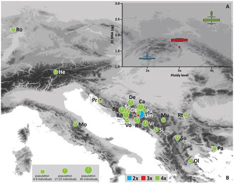 Cotoneaster integerrimus (Rosaceae) from the Balkans | Encyclopedia MDPI