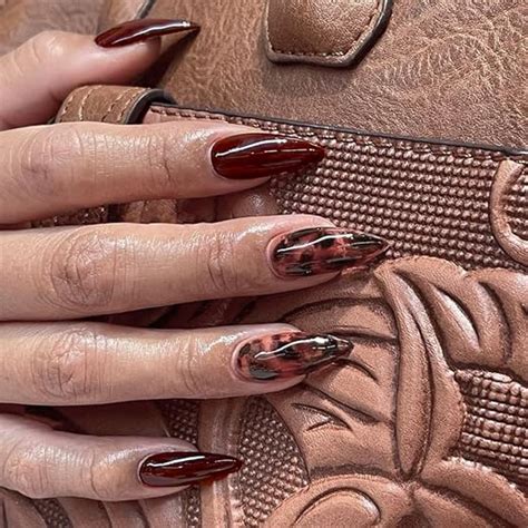 Buy Secret Lives Glossy Dark Brown Color with Translucent Leopard Print ...