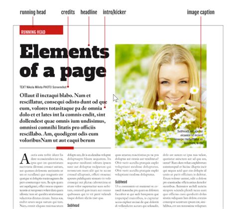 Image result for Photocaption Examples